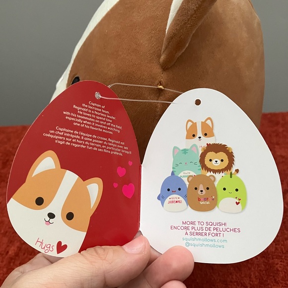 Reginald the Corgi (Hugs & Squishes) 8” Valentine’s Squishmallow - Picture 5 of 5